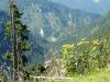 Radltour auf die Rotwandlalm Radltour auf die Rotwandlalm