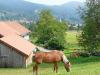Kleine Radltour zum Bodenschneidhaus Kleine Radltour zum Bodenschneidhaus