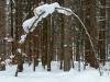 Winterwanderung 7 Winterwanderung 7