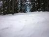 Winterwanderung Winterwanderung