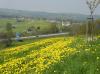 IRSCHENBERG > Autobahnraststätte IRSCHENBERG > Autobahnraststätte