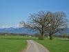 bei Bad Aibling bei Bad Aibling