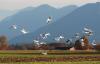 Bei Bad Aibling 2 Bei Bad Aibling 2