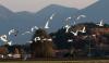 Bei Bad Aibling 3 Bei Bad Aibling 3