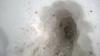 1/2 Meter Schnee 1/2 Meter Schnee