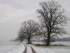 Rosenheimer Land > Tauwetter Rosenheimer Land > Tauwetter