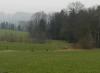 bei Irschenberg im April 2 bei Irschenberg im April 2