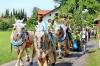 Leonhardifest in der Rodungsinsel Leonhardifest in der Rodungsinsel