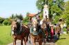 Leonhardifest in der Rodungsinsel