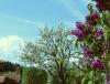 P1000415 P1000415
