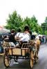 Leonhardifest in der Rodungsinsel Leonhardifest in der Rodungsinsel