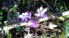 WP_20140225_003 - Kopie WP_20140225_003 - Kopie