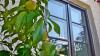 WP_20140718_001 1 WP_20140718_001 1