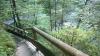 Am Wasserfall Am Wasserfall