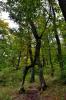 Vier-Berge-Tour 2 2 Vier-Berge-Tour 2 2