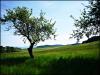 Tschechische Natur 3 Tschechische Natur 3