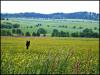 Tschechische Natur 3