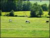 Tschechische Natur Tschechische Natur