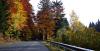Herbst in Tschechien 4 Herbst in Tschechien 4