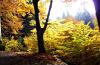 Herbst in Tschechien 7 Herbst in Tschechien 7