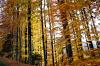 Herbst in Tschechien Herbst in Tschechien