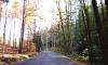 Herbst in Tschechien