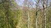 Hainich-BKP-13 Hainich-BKP-13