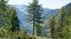 Triglav1-15 Triglav1-15