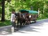 Pferdewagen zur Bastei Pferdewagen zur Bastei