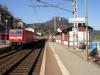 KÖNIGSTEIN > Bahnhof > Zug nach Dresden