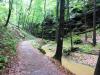 Elbsandsteingebirge > Wanderung einige Tage vor der großen Flut 3 7