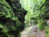 Elbsandsteingebirge > Wanderung einige Tage vor der großen Flut 3 4