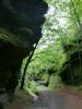 Elbsandsteingebirge > Wanderung im Regen 2 2