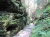 Elbsandsteingebirge (36) Elbsandsteingebirge (36)