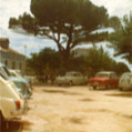 ULCINJ > Baum1 1969