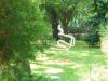 Herbst 2011/4: Kastela und Split 7 Herbst 2011/4: Kastela und Split 7