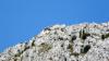 Herbst 2011, 9 Wanderung Kozjak 3 Herbst 2011, 9 Wanderung Kozjak 3