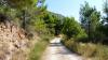 Herbst 2011, 9 Wanderung Kozjak 8 Herbst 2011, 9 Wanderung Kozjak 8