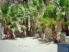 SPLIT > Der/Im Diokletianpalast 5 SPLIT > Der/Im Diokletianpalast 5