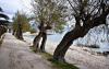 Dezember in Kastela Dezember in Kastela