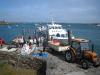 Normandie Iles de Chausey 6 Normandie Iles de Chausey 6