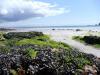 Bretagne (7) Bretagne (7)