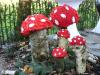 Fliegenpilze Fliegenpilze
