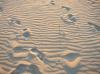 ADA > Fußspuren im Sand