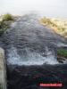 Albanien - Pogradec - Zufluss des Drin bei Tushemisht