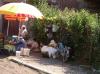 SHKODRA > Straßenverkauf > Gemüse und Obst SHKODRA > Straßenverkauf > Gemüse und Obst