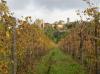VOLPAIA IN CHIANTI VOLPAIA IN CHIANTI