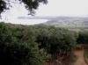 POPULONIA > Golf von Baratti