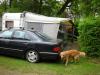 SPREEWALD > Lübbenau > 07  Campingplatz am Schloßpark