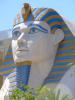Sphinx vor dem Luxor